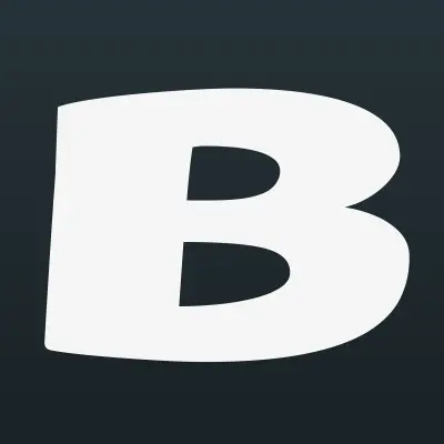 БСН, агентство недвижимости, лого-визитка