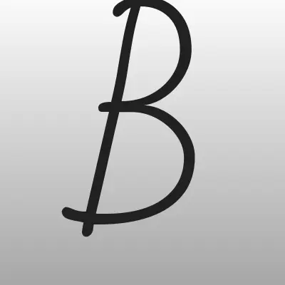 Балтийский лизинг, филиал в г. Брянске, лого-визитка