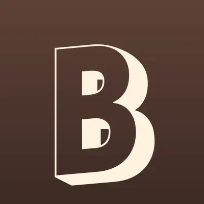БлицСтрой-Сервис, лого-визитка