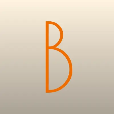 Брянские кабельные сети, телекоммуникационная компания, лого-визитка