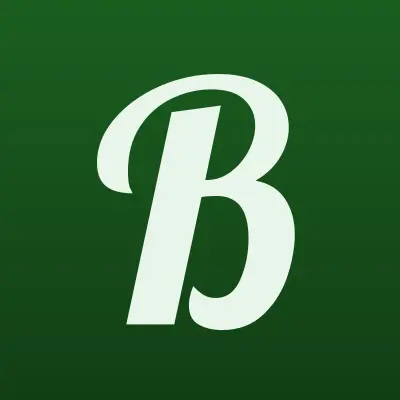 Bravo мебель, лого-визитка