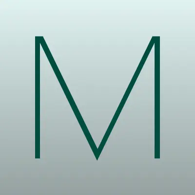 Мега Аксессуары, лого-визитка