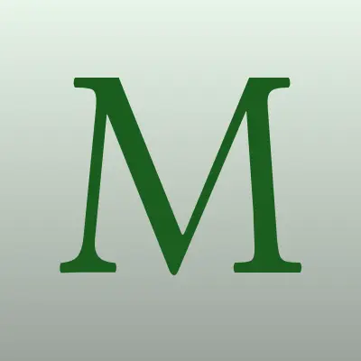 Mio, магазин обуви, лого-визитка