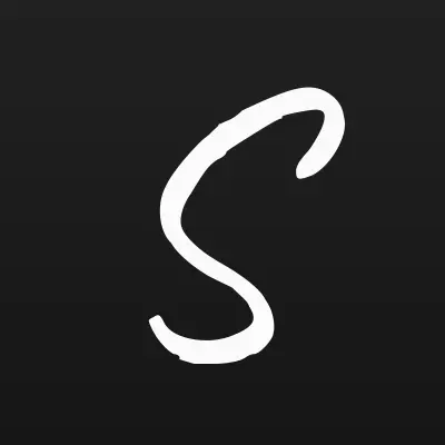 Sn-Video, торгово-монтажная компания, лого-визитка