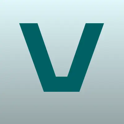 Vidock, компания, лого-визитка