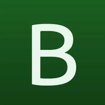 БСН недвижимость